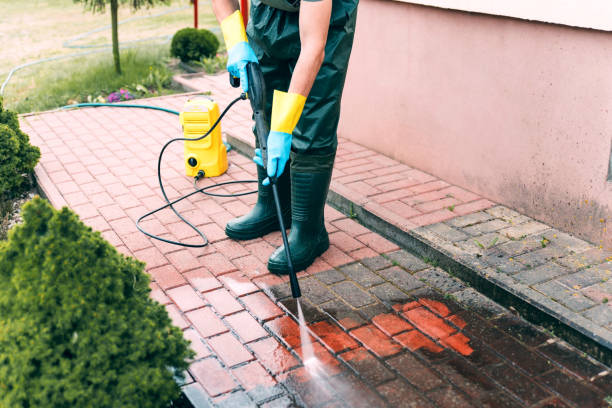 Best Building Exterior Washing  in Thomasville, AL