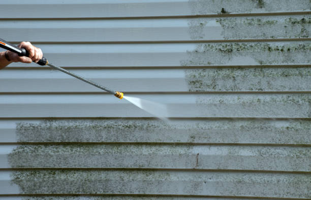 Trusted Thomasville, AL Pressure Washing Experts